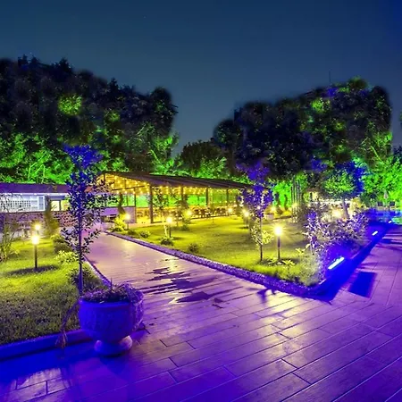 Grand Alisa Hotell 3*