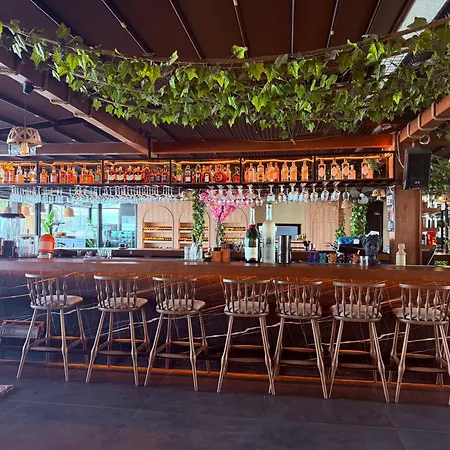 Hotel Grand Alisa 3*